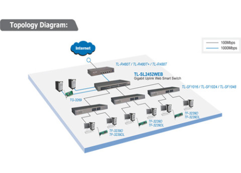 ממתג TP-LINK TL-SL2452WEB