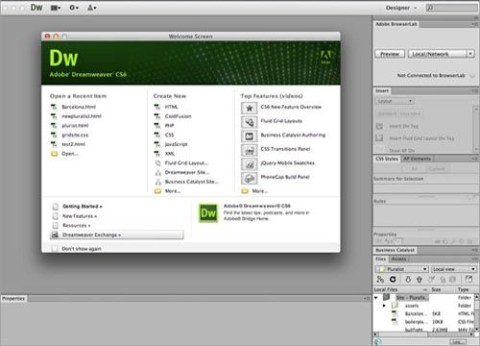 תוכנת בניה ועיצוב אתרים Dreamweaver