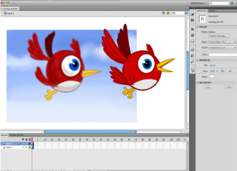 תוכנה לעריכת פלאש Adobe Flash Professional